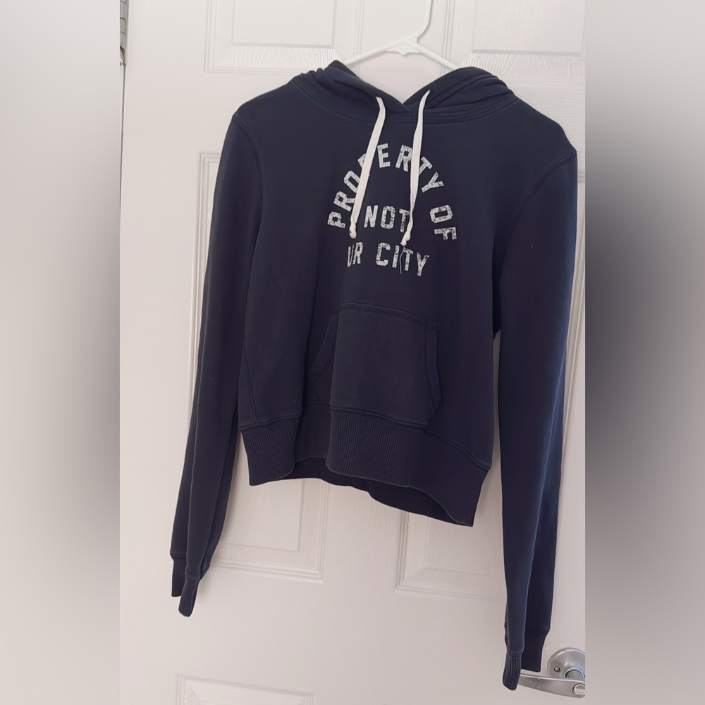 Abercrombie & Fitch Cropped Hoodie